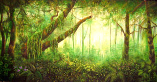 jungle themed backdrops and props for events themes unlimited